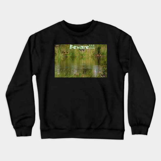 Beware the eyes of marsh Crewneck Sweatshirt by FriendlyComputerHelp